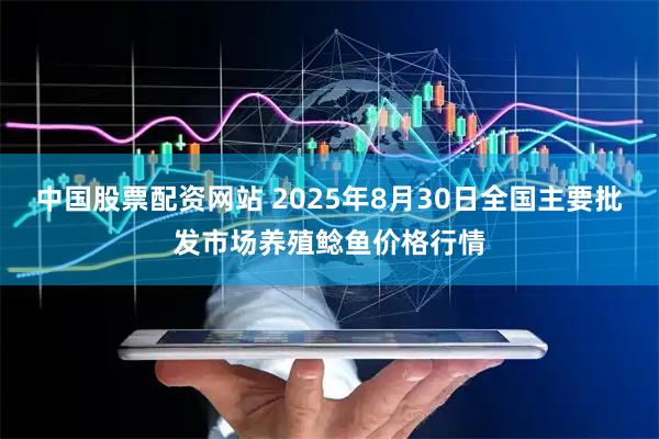 中国股票配资网站 2025年8月30日全国主要批发市场养殖鲶鱼价格行情