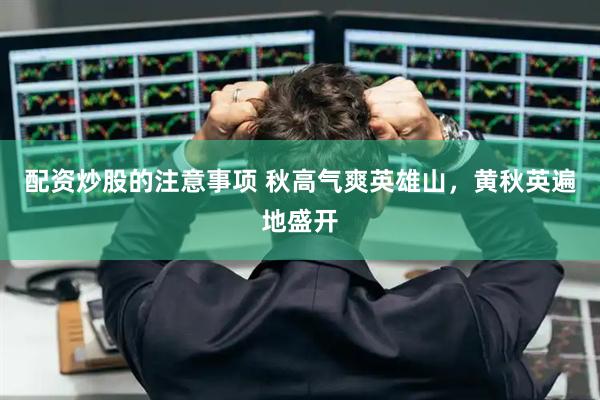 配资炒股的注意事项 秋高气爽英雄山，黄秋英遍地盛开