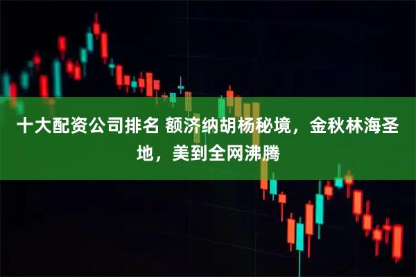 十大配资公司排名 额济纳胡杨秘境，金秋林海圣地，美到全网沸腾