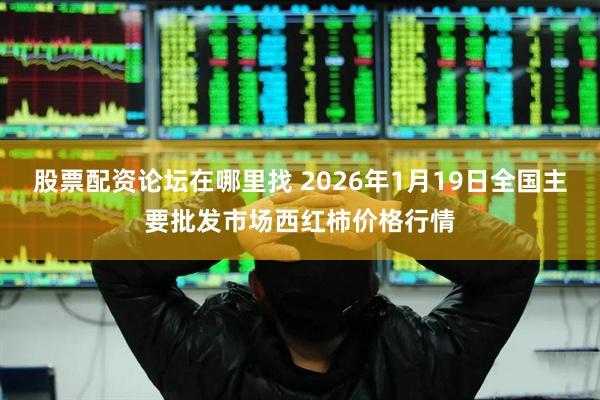 股票配资论坛在哪里找 2026年1月19日全国主要批发市场西红柿价格行情