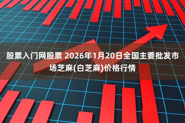 股票入门网股票 2026年1月20日全国主要批发市场芝麻(白芝麻)价格行情