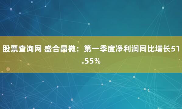 股票查询网 盛合晶微：第一季度净利润同比增长51.55%